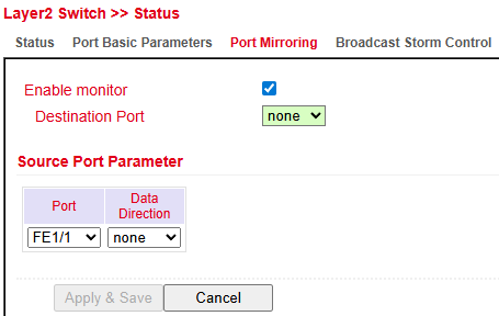 Port Mirroring